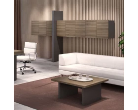 Кабинет руководителя Era images