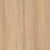 Дуб медовый